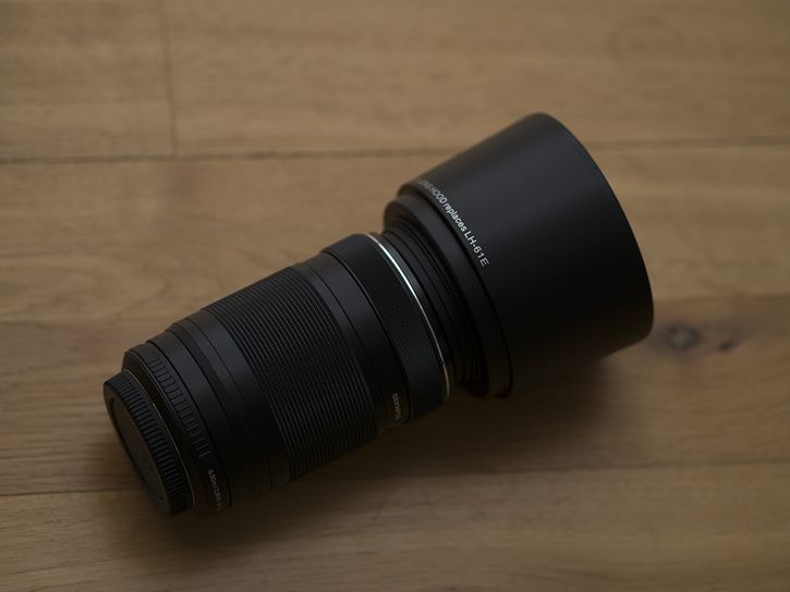 P1030697b.jpg