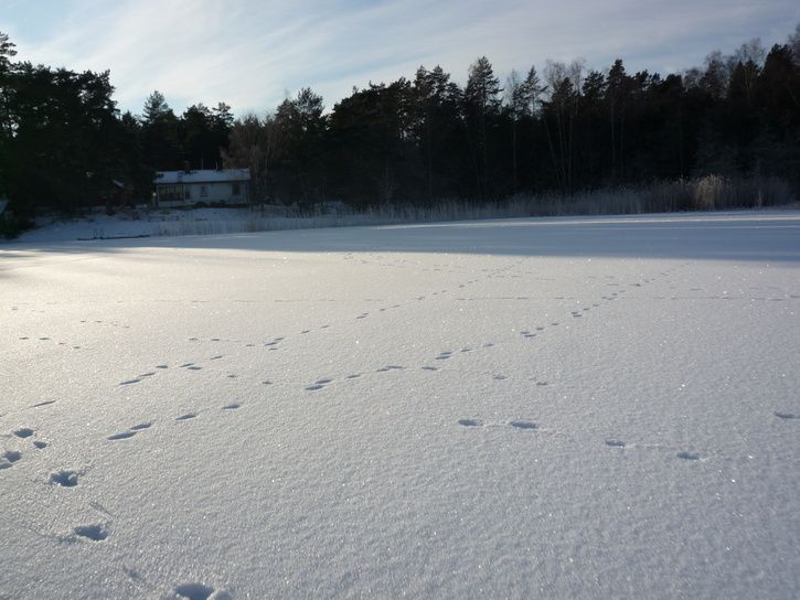 P1030716.JPG