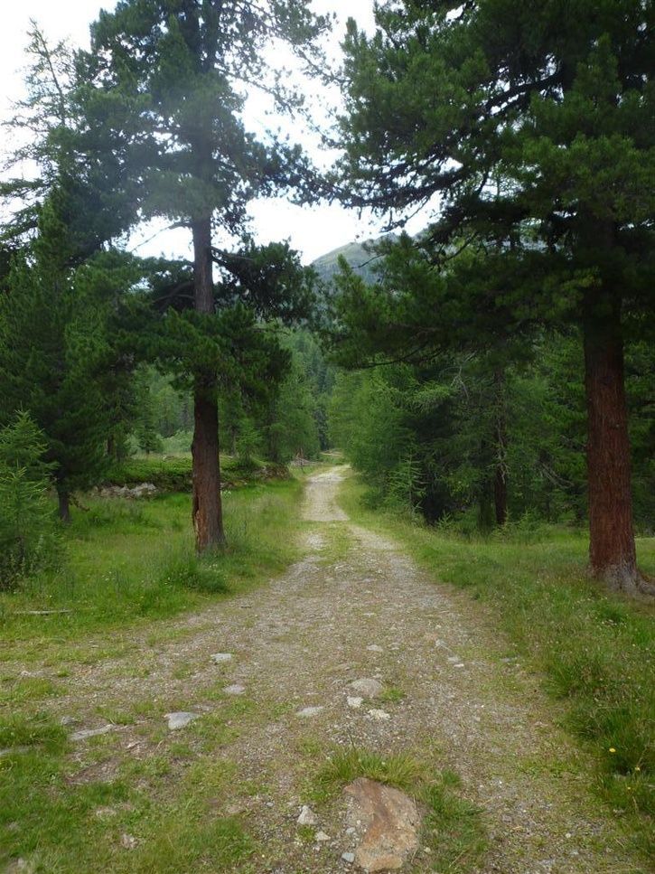 P1030874 (Large).JPG