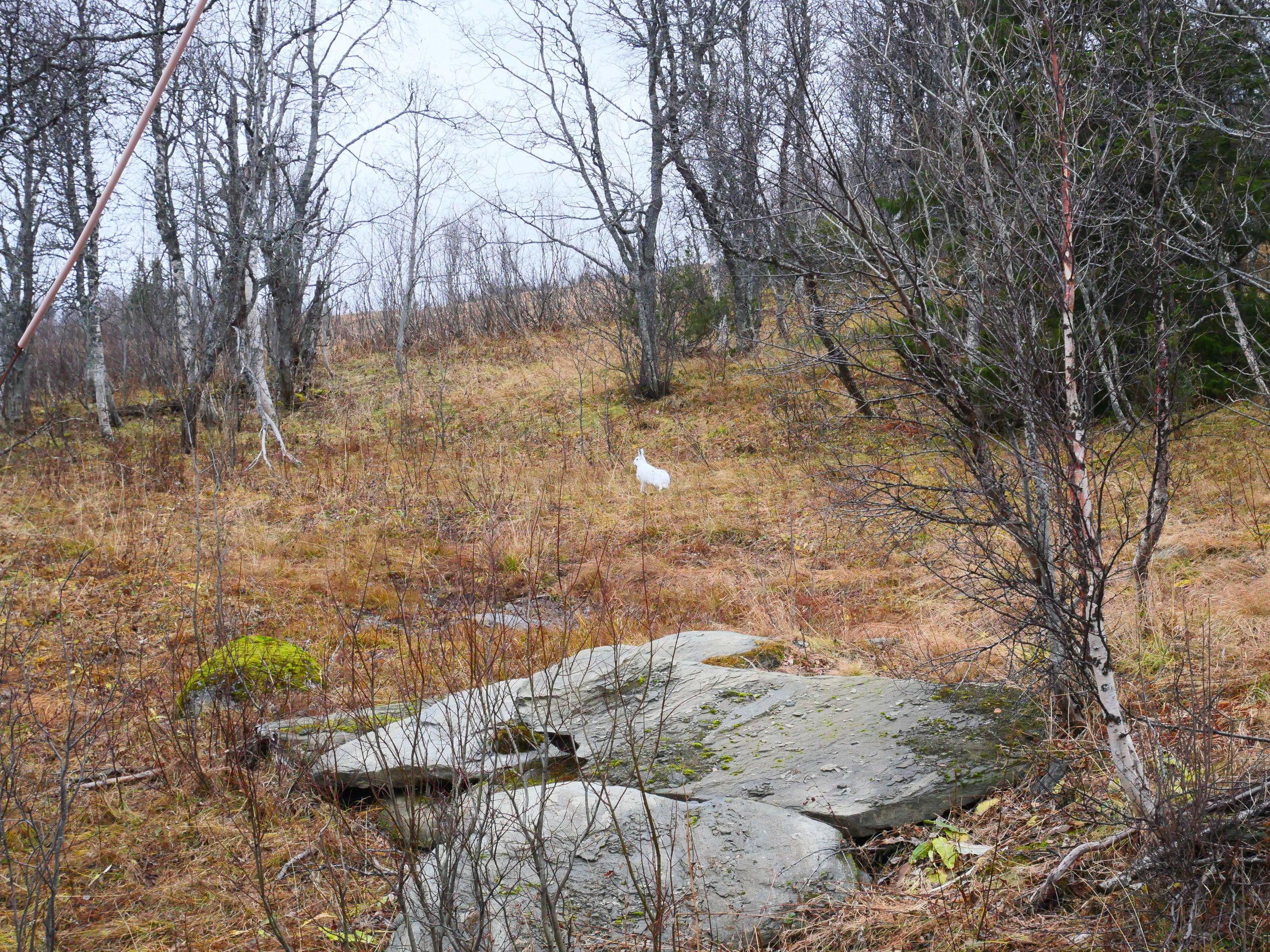 P1034274.JPG