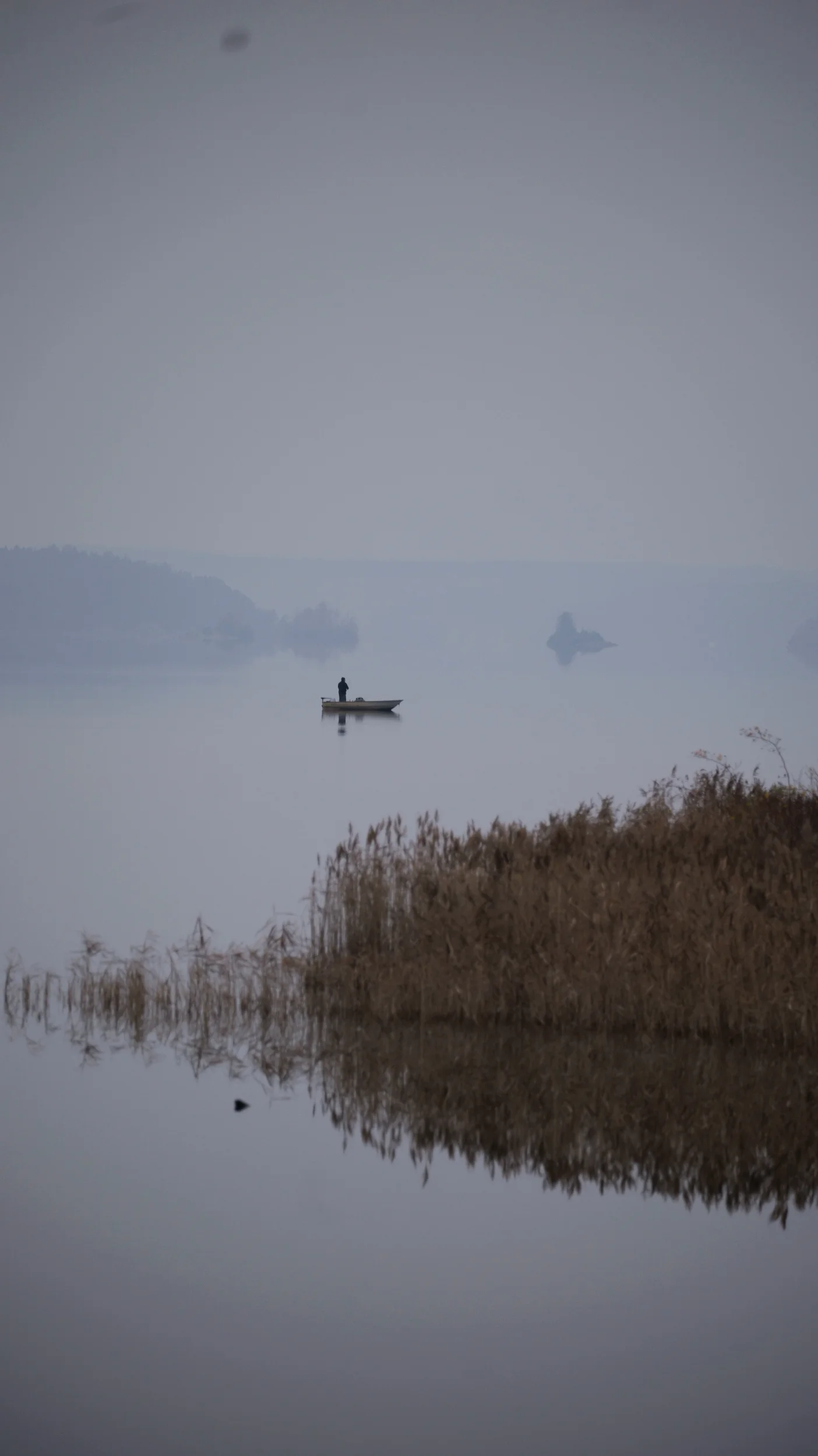 P1036076.webp