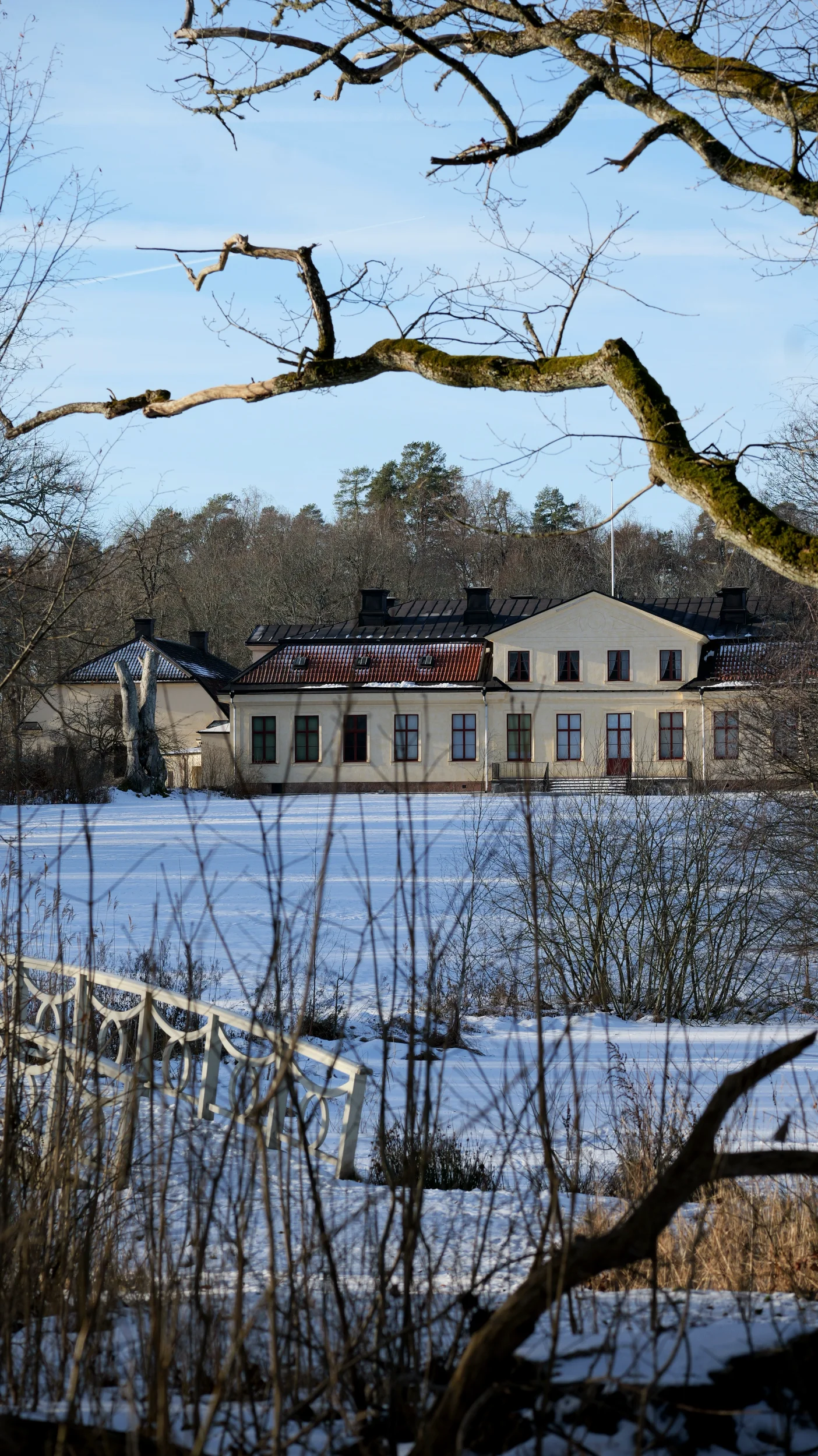 P1036592.webp