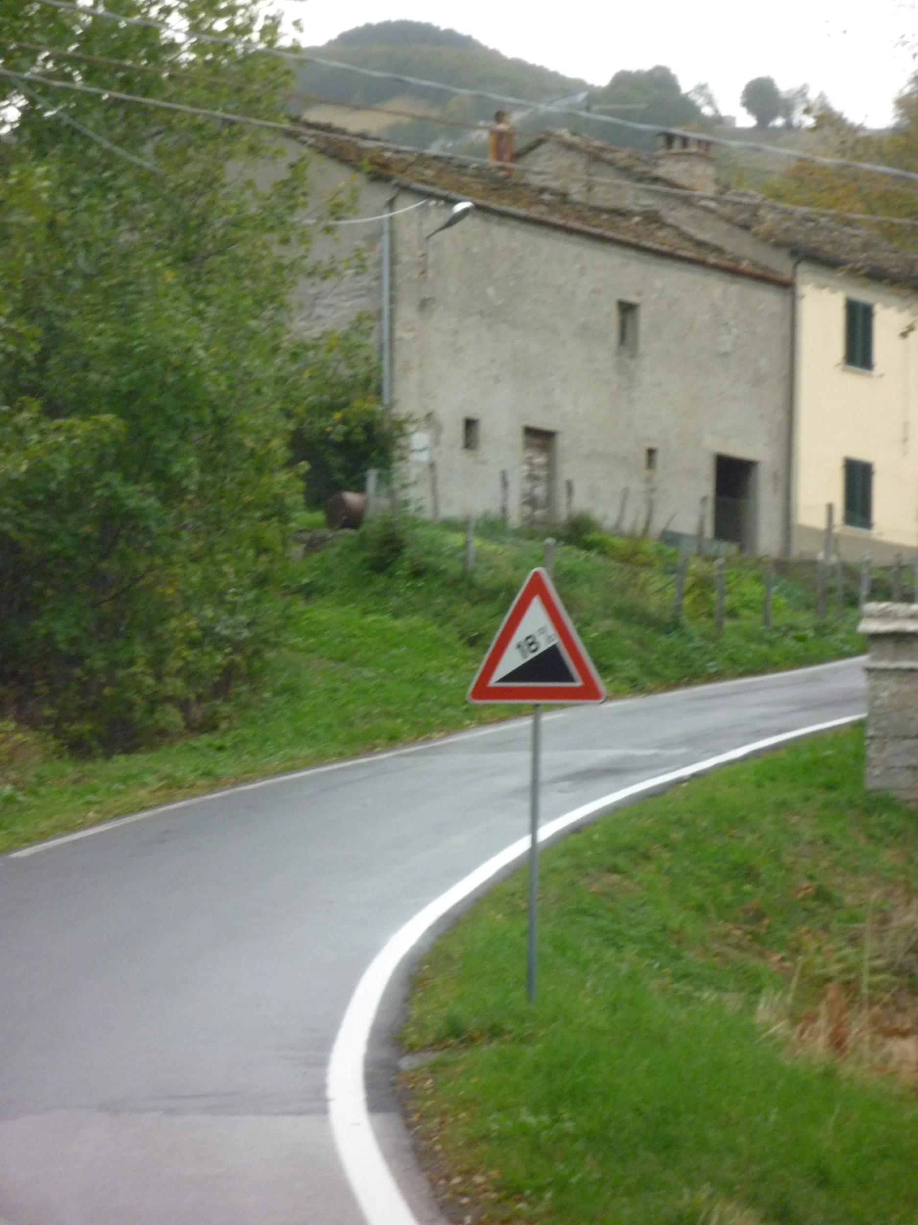 P1040303.webp