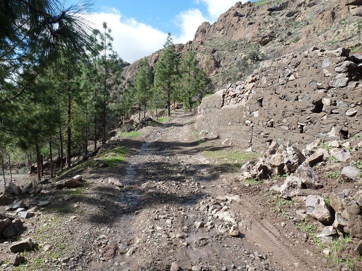 P1040331rz.jpg ht=544