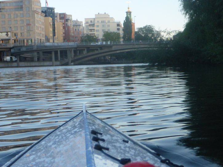 P1040418.JPG
