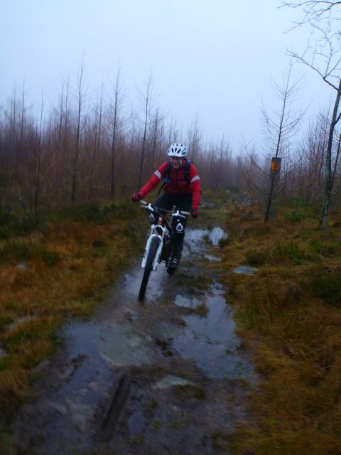 P1040561.jpg