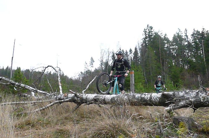 P1040689.jpg