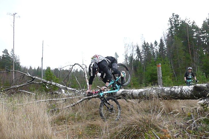 P1040693.jpg