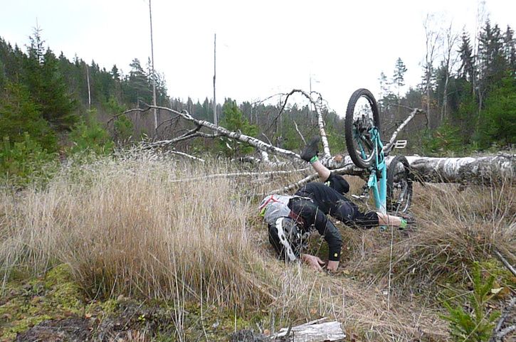 P1040706.jpg