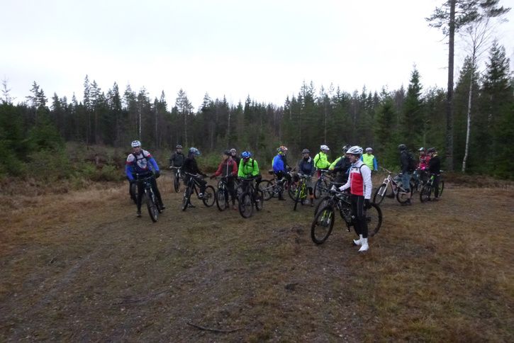 P1040730.jpg