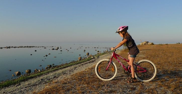 P1040913_h.jpg ht=376