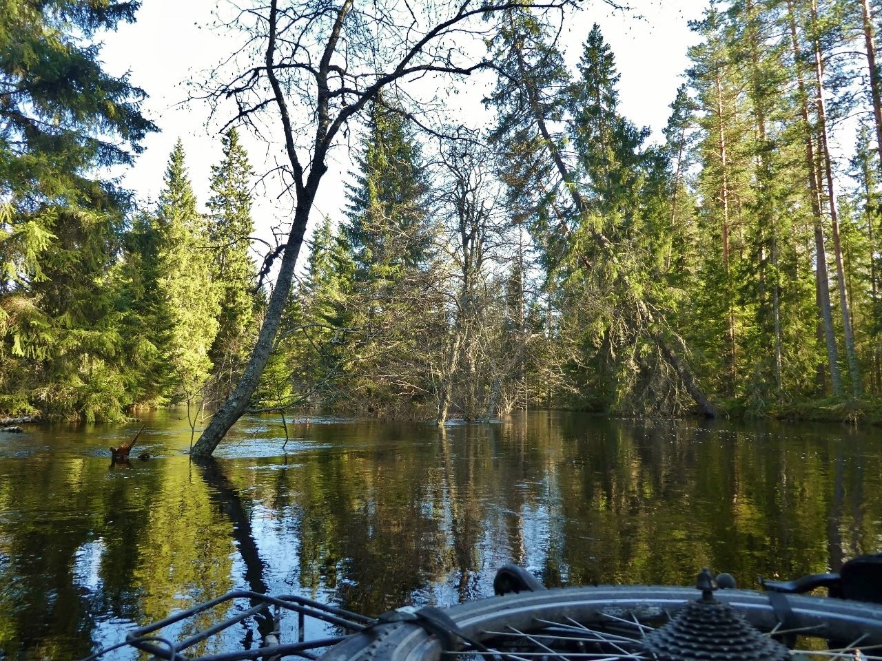P1050169.jpg