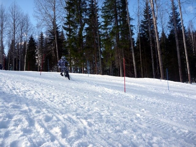 p1050726.jpg ht=480