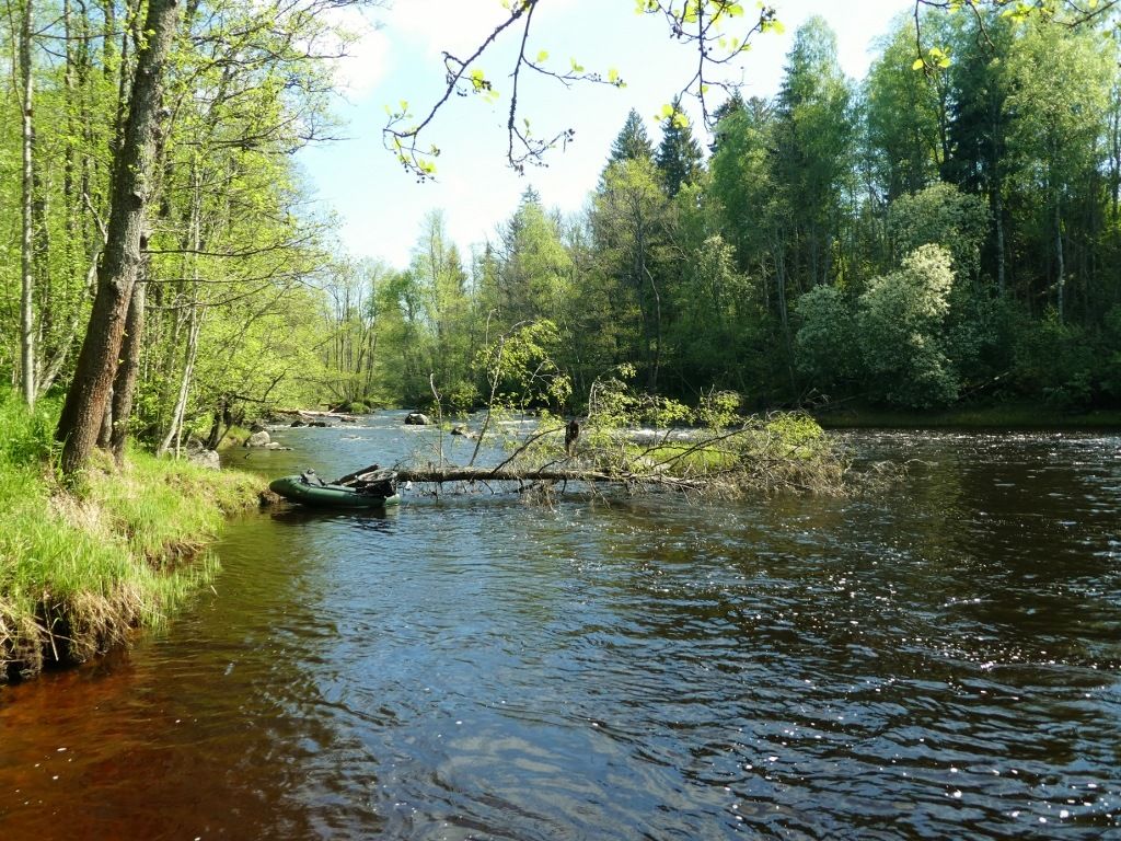 P10508351024x768.jpg
