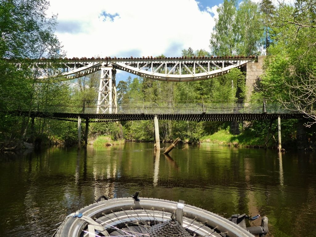 P1050919S.jpg
