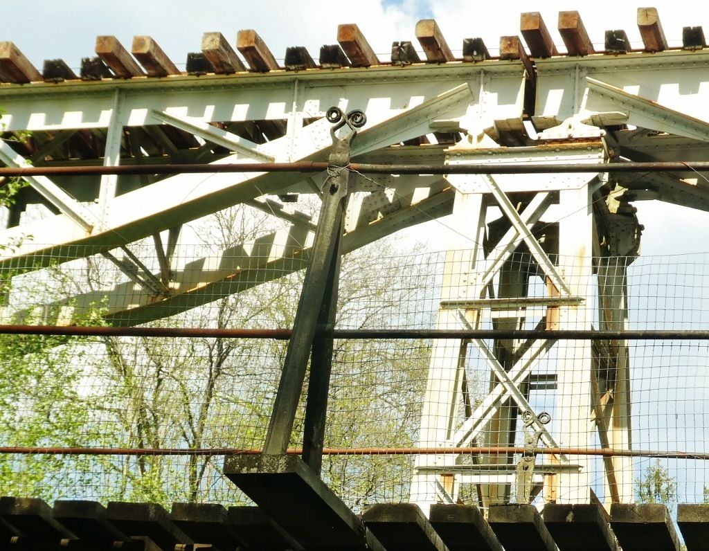 P1050924CS.jpg