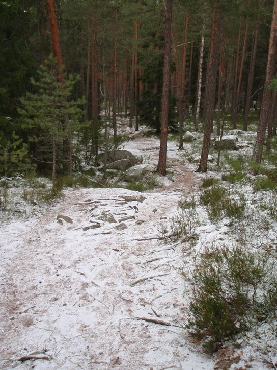 P1060035.JPG ht=725