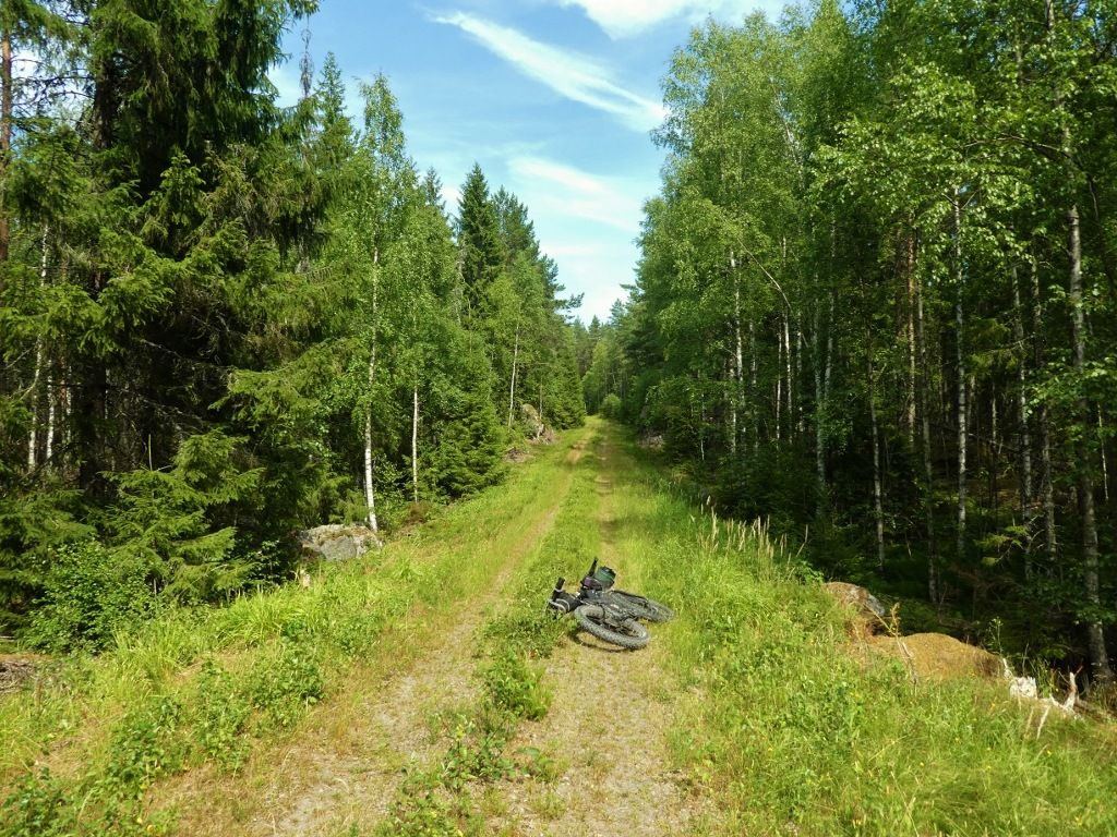 P10608691024x768.jpg