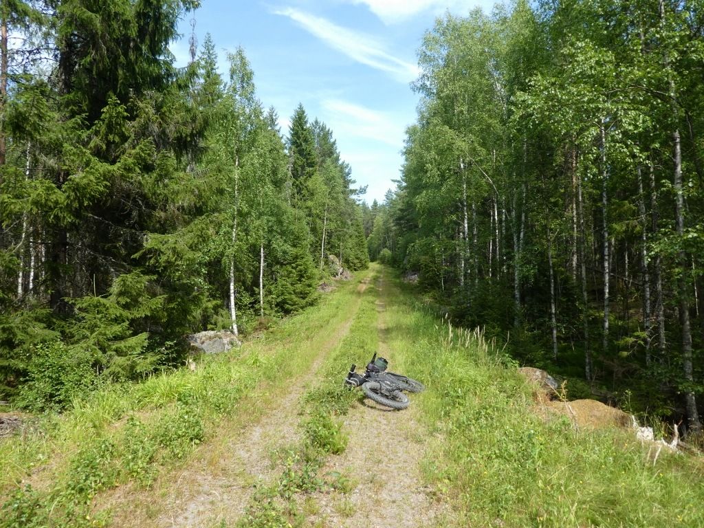 P10608691024x768.jpg