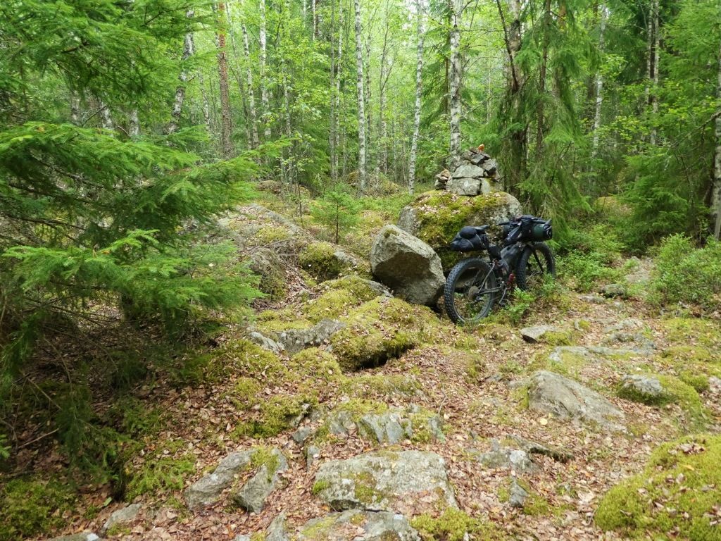 P10609351024x768.jpg