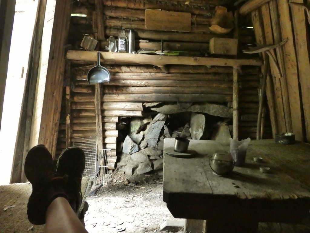P10609491024x768.jpg