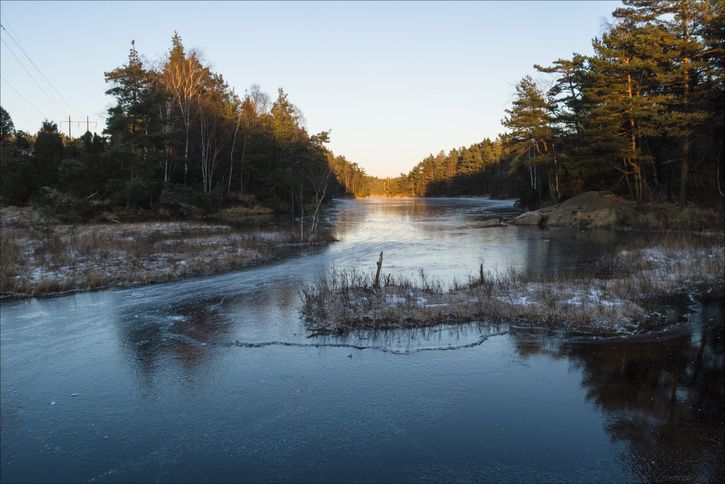 P1065179.jpg