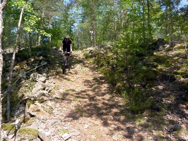 P1070103.JPG ht=480