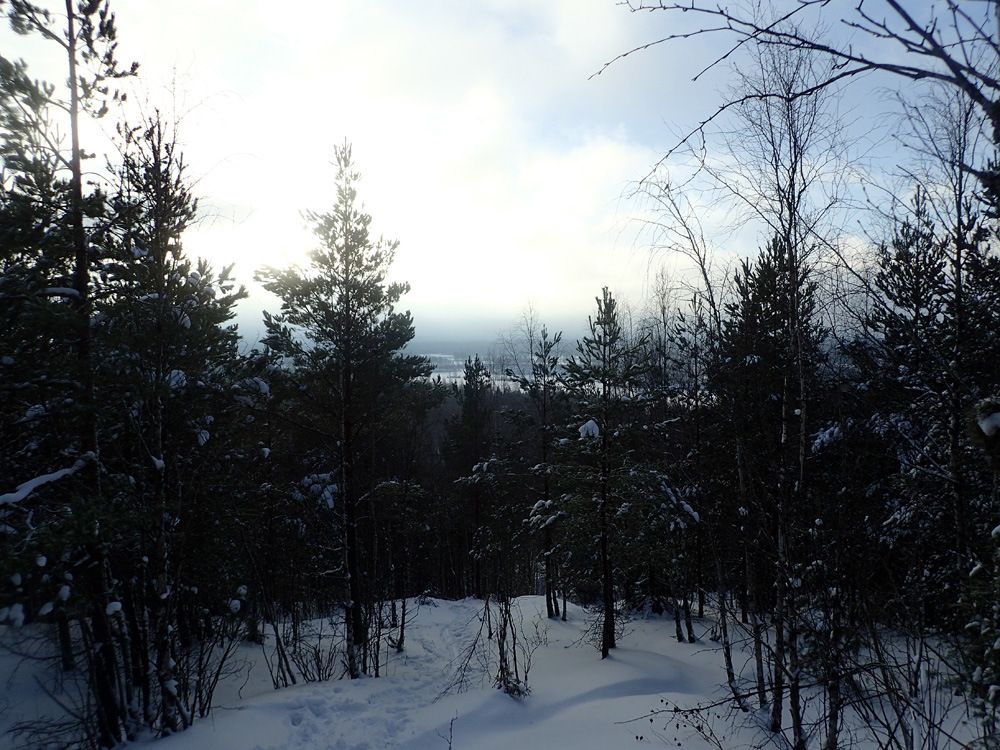 P1070116.jpg