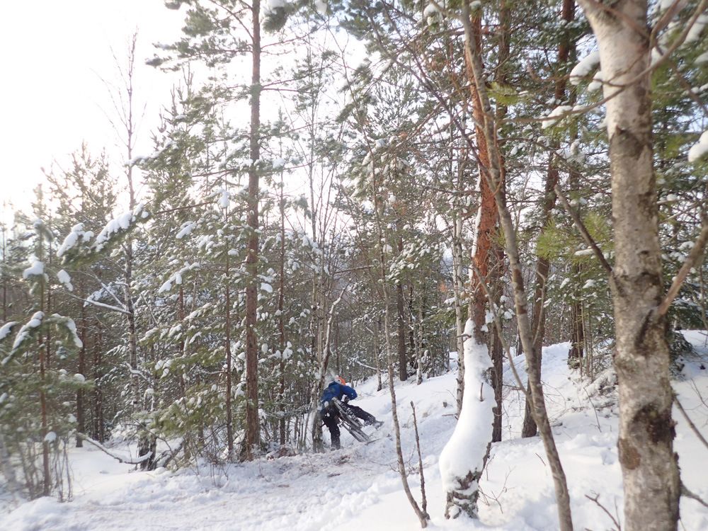 P1070126.jpg