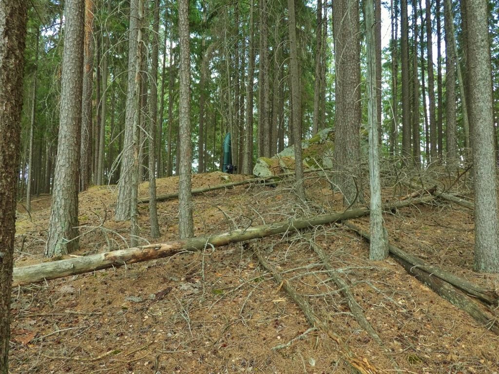 P10701641024x768.jpg