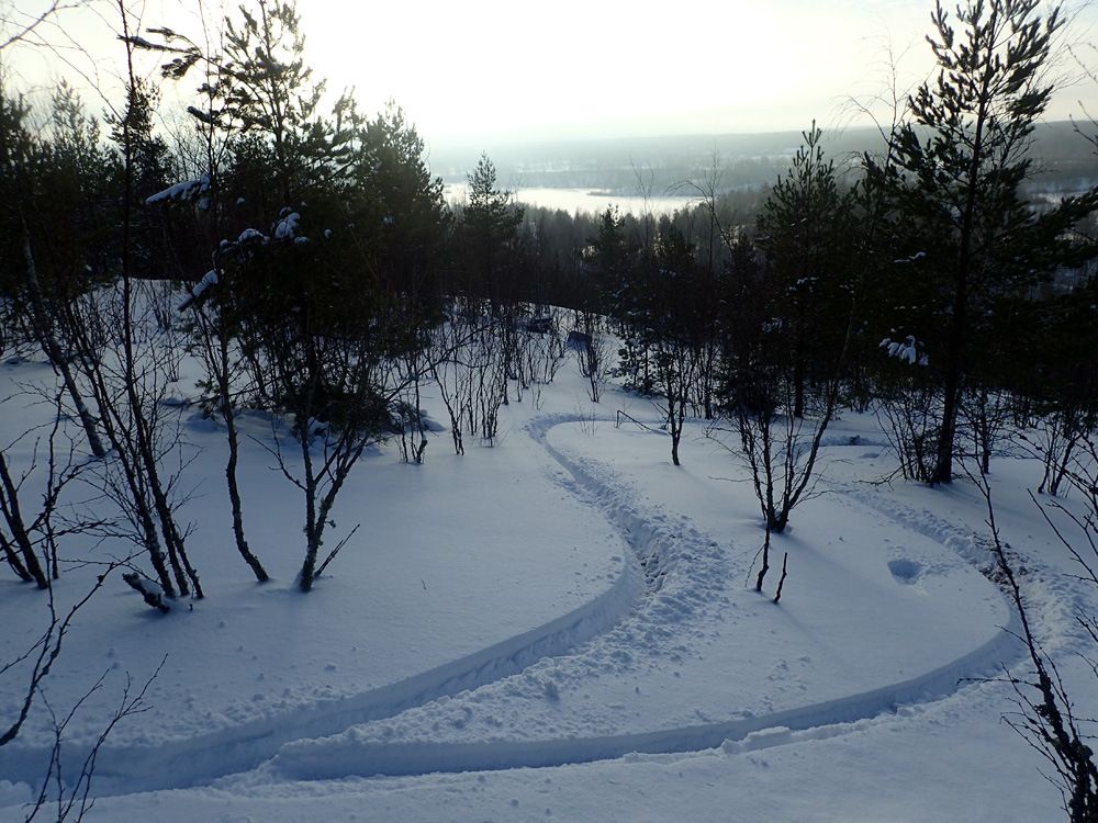 P1070316.jpg
