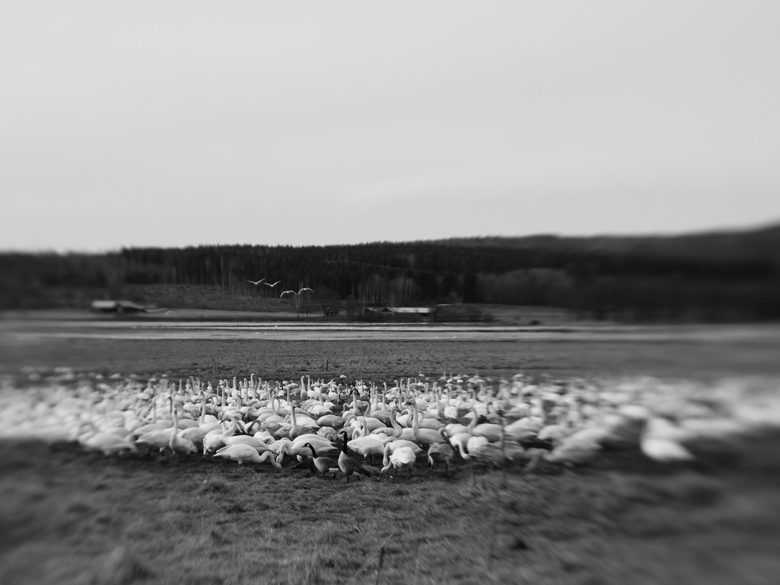 P1070523.JPG