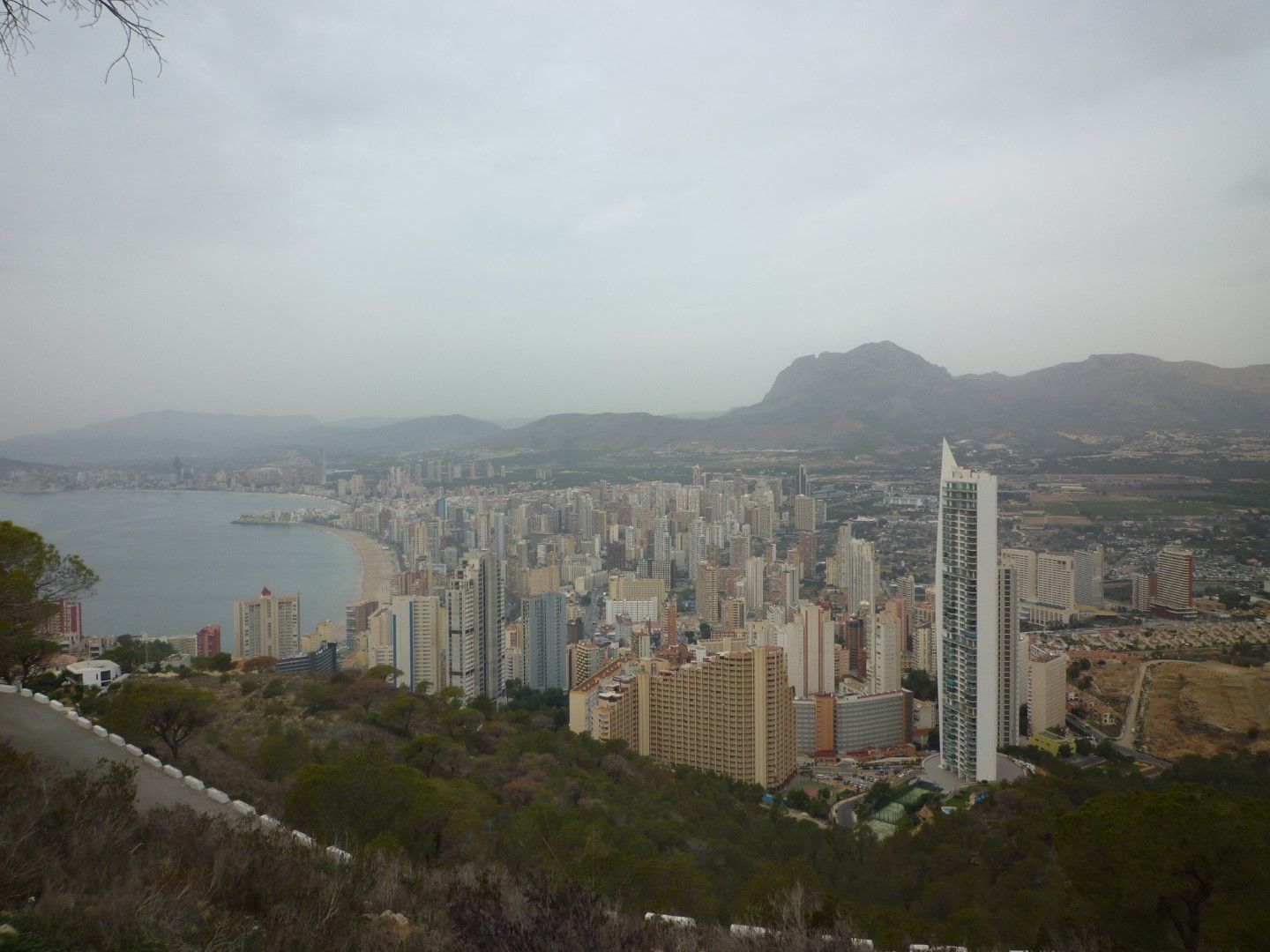 P1070533 (Large).JPG