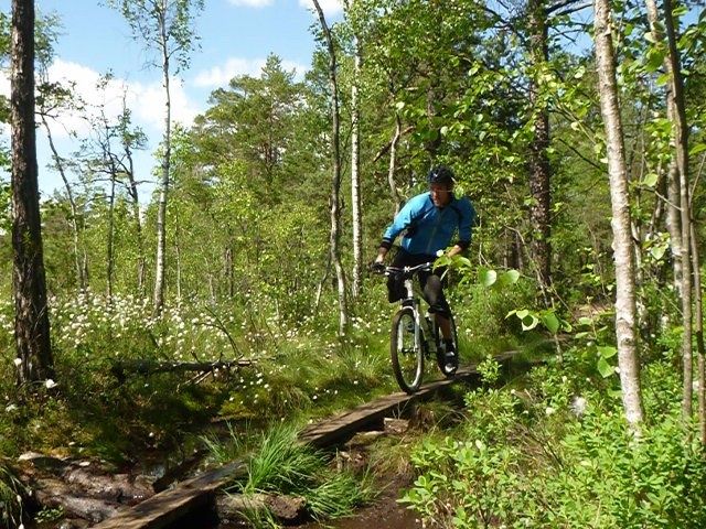 P1070550.JPG ht=480