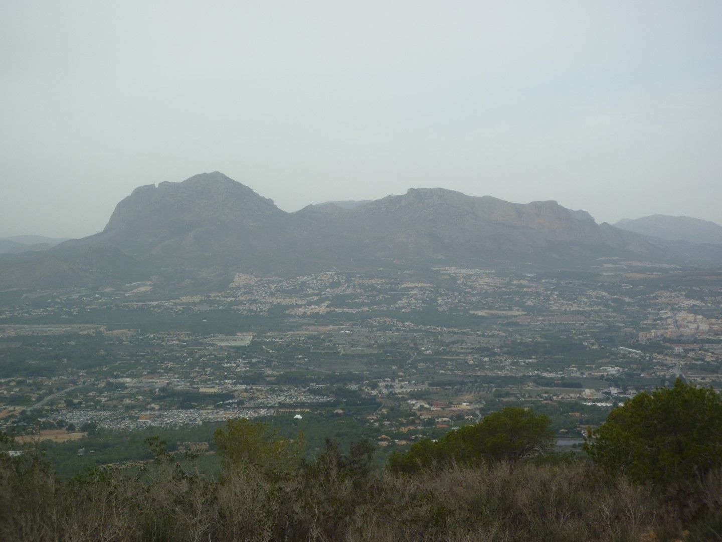 P1070563 (Large).JPG