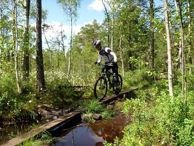 P1070569.JPG ht=480