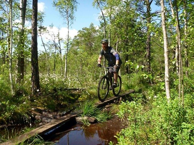 P1070611.JPG ht=480