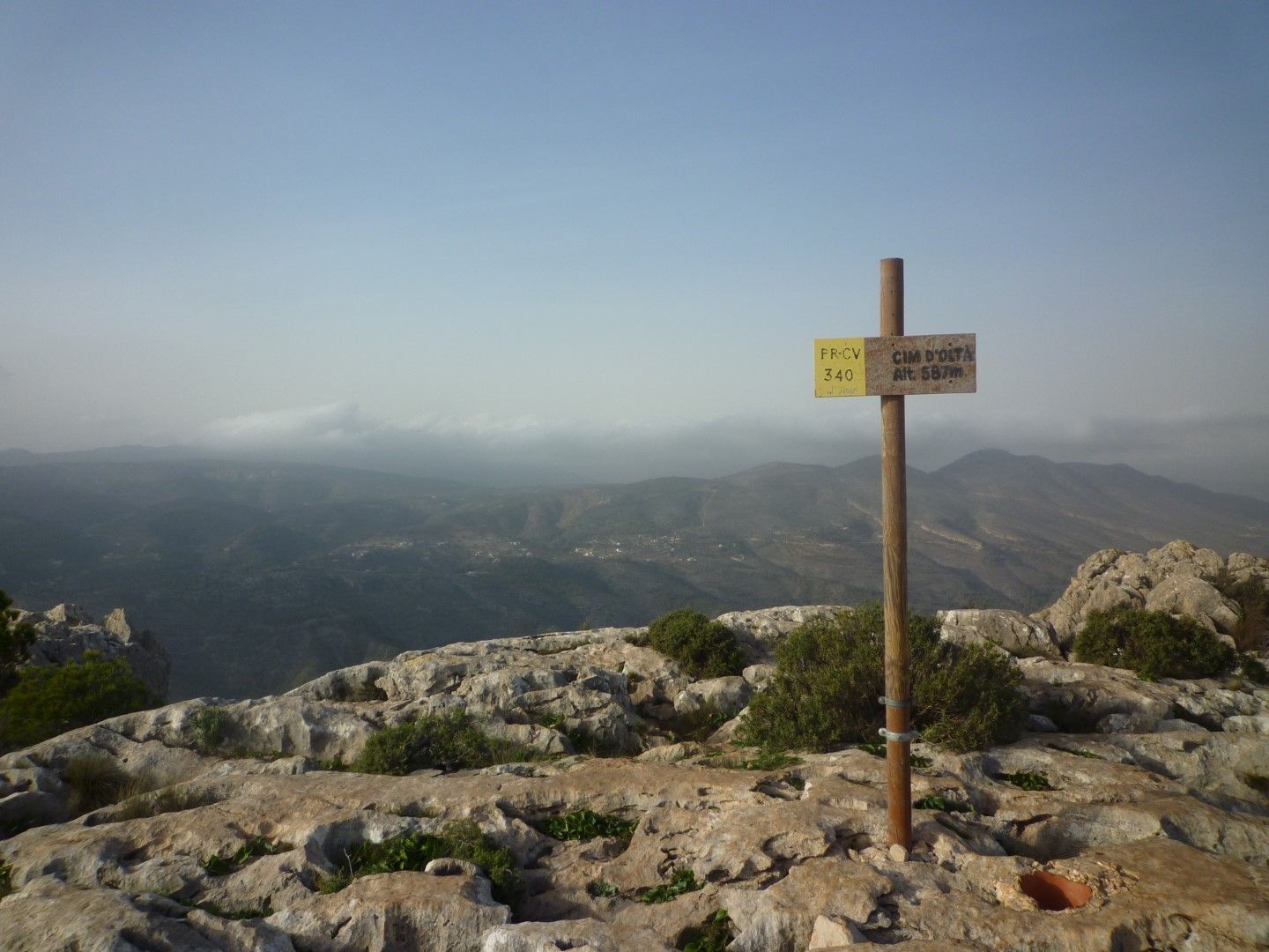 P1070665 (Large).JPG