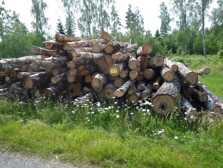 P1070767_stock.jpg