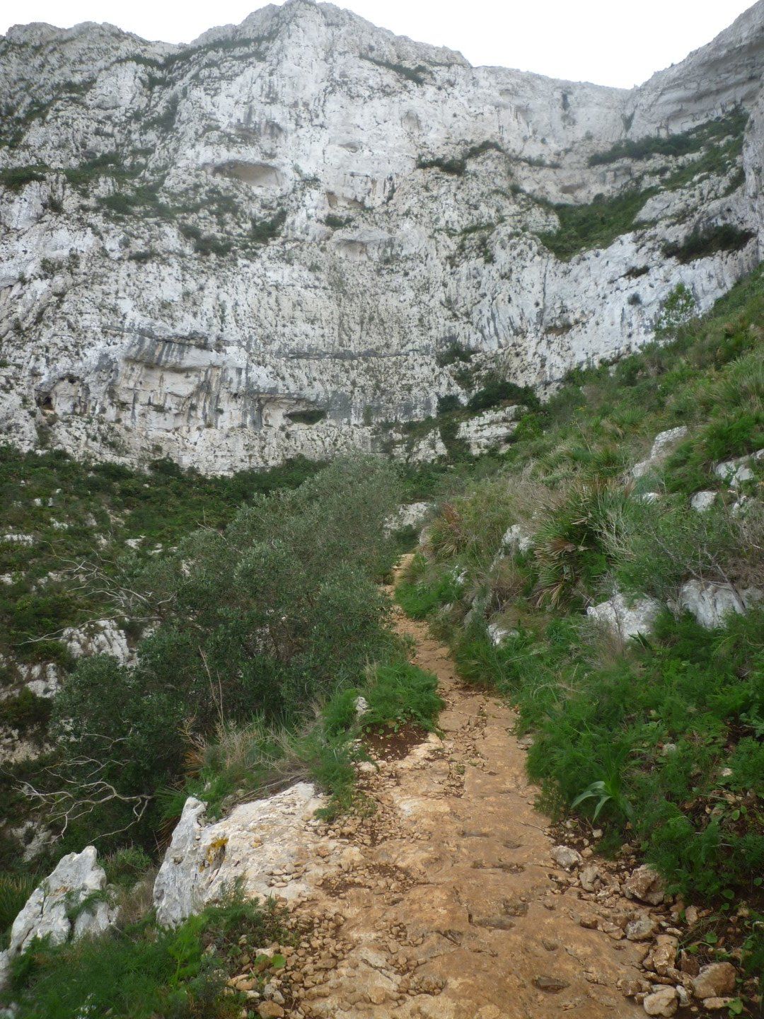 P1070921 (Large).JPG