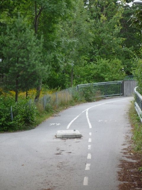 P1080085.jpg