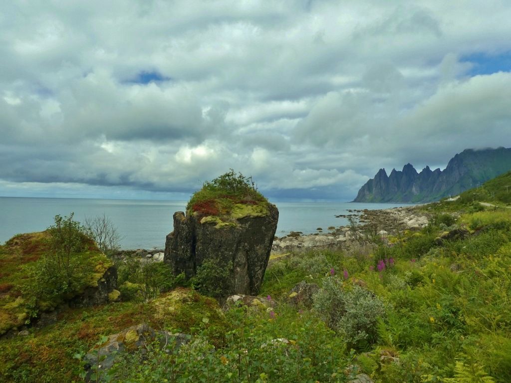 P108012581024x768.jpg