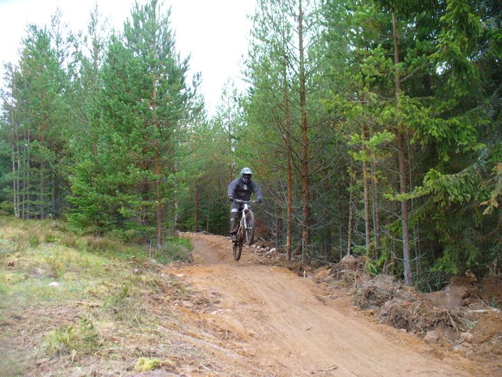 P1080561.JPG ht=544