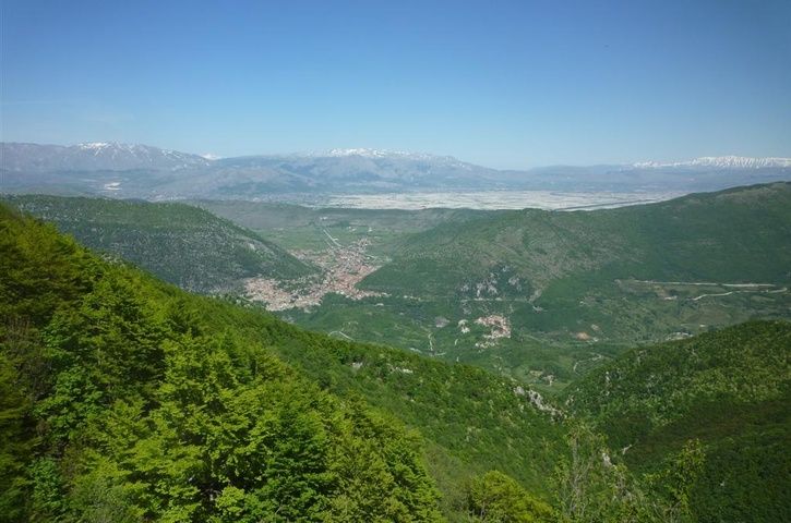 P1080661Large_mod.jpg
