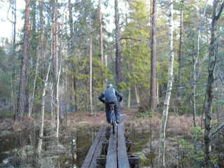 P1080740882.gif ht=240