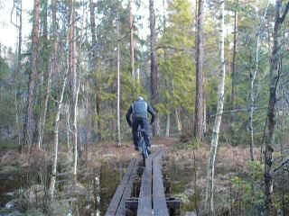 P1080740889.gif ht=240