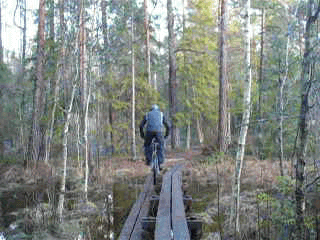 P1080740894.gif ht=240