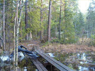 P10807420366.gif ht=240