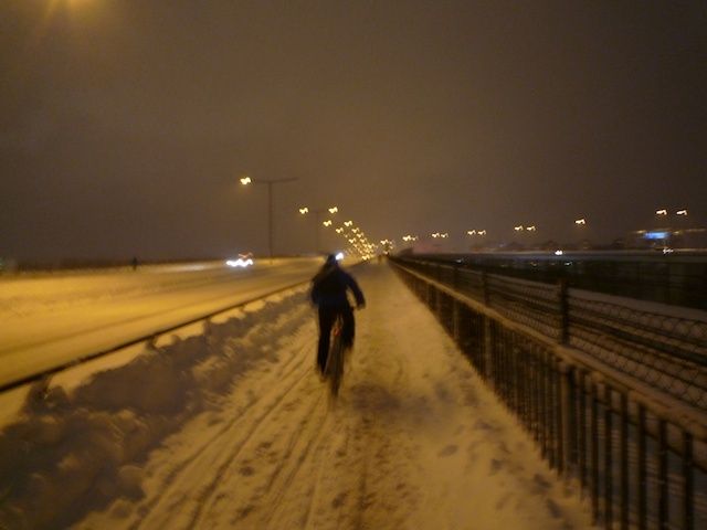 P1080803.jpg