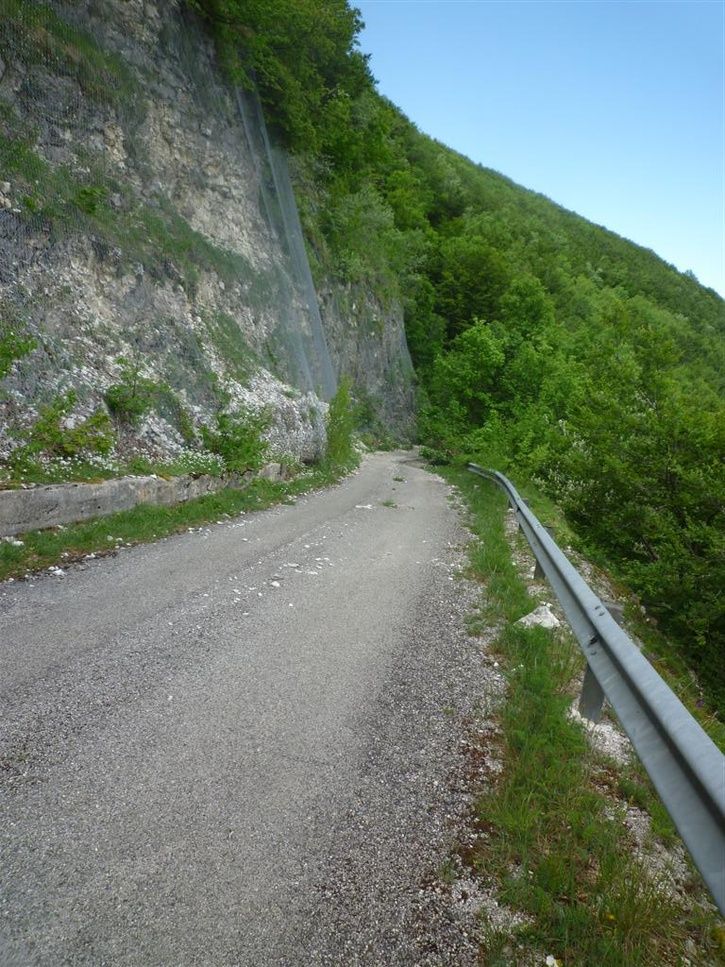 P1080996Large.JPG